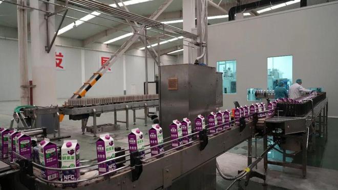 陕西千阳绿色果业加工项目投产 苹果全产业链闭环成型